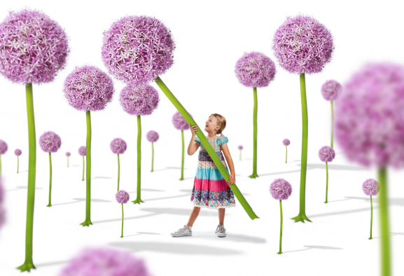 Kind auf der Blumen Wiese - Märchenwald